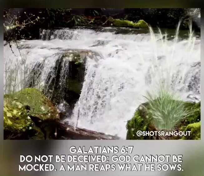 REPOST if you concur: The grace of God does not eliminate the principles of choice and consequence. In this life, our decisions will bring with them natural results. We must not lie to ourselves, that because of God's grace and forgiveness of our sins, we will not suffer any harm if we continue to choose sin. To believe such a thing is to mock God, to make light of Jesus' sacrifice for our sin on the cross. 
@CRRJA5  

