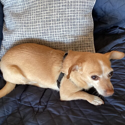 Never substitute another’s judgement for your own judgement!