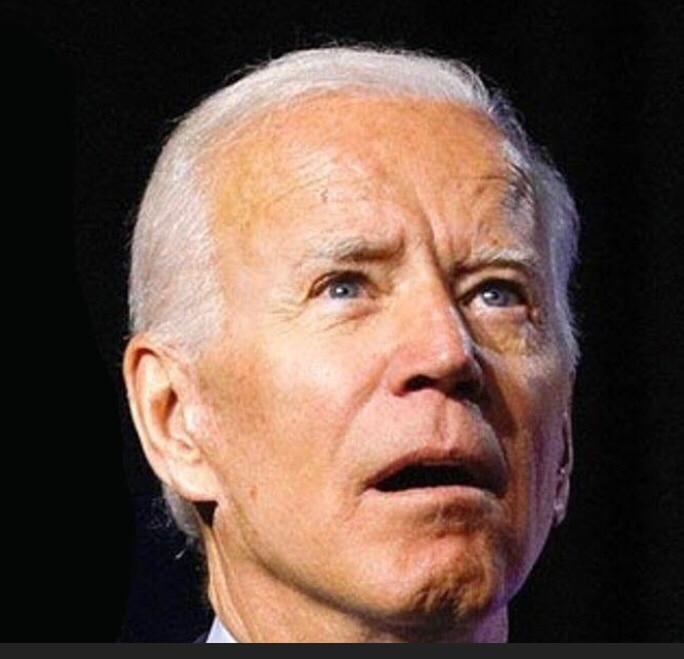 I’m NO botanist. Can y’all tell me what kind of vegetable this is? 