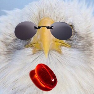 American truth seeker