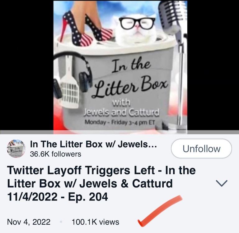 Friday, we had our 1st podcast with 100,000 views on Rumble.
Our little show has been growing like crazy. Jewels and I wanted to thank everyone who listen
