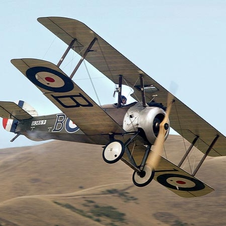 Favorite President - Donald J. Trump - Believe in Peace! Strive for a better future. Deplorable Hillbilly. Super Elite. ...