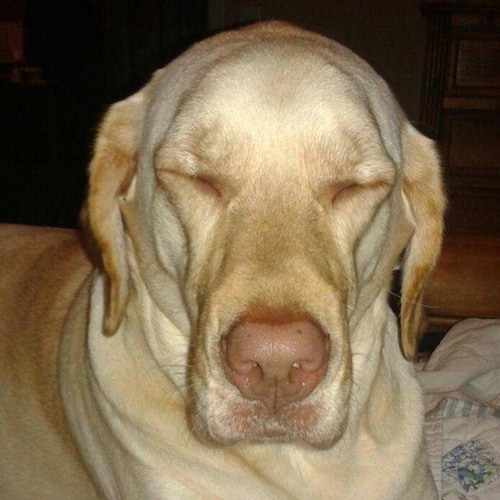 President Trump is our real President-God please save us.  My opinions are my own.