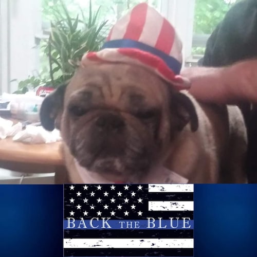 #TrumpGreene2024
Small Business owner. Red White & Blue Blooded American, I love this Country, it's breaking my heart wa...