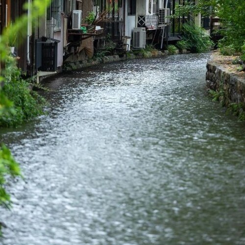 Data Collector, Researcher and Data Cruncher of Political elections (primary and general).  Politics are my sports, as i...