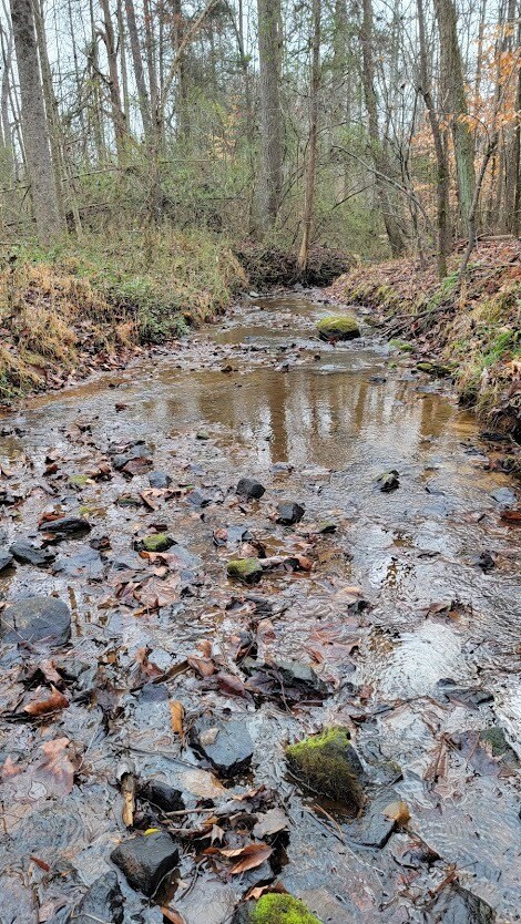 I'm finally getting to my forever home.  Several acres of land, one story (I am getting older), with a creek.  My desire is to live primarily off that land as much as I can, and perhaps start a 'shine side business.  Crops, fruit and nut trees, deer, maybe turkey, and yote skins.