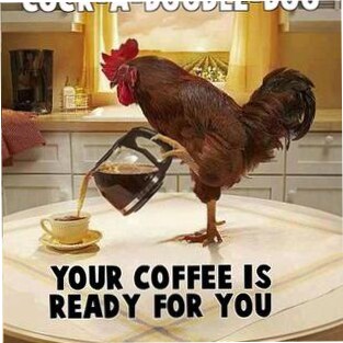 American by birth, Southern by the grace of God! i may give out but i will never give up!