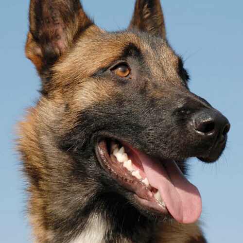 “Those who are able to see beyond the shadows and lies of their culture will never be understood, let alone believed, by...