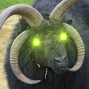 Visit MultihornedSheep's profile on GETTR. View their posts, photos, videos, and connect with them on the social platform.