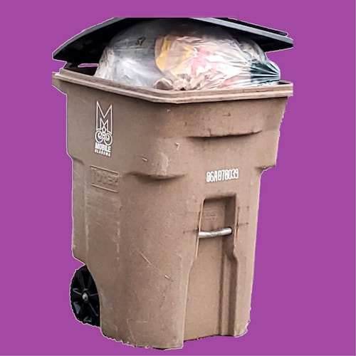 "Typical Mobilian": That which is typical of Mobile, Alabama, like crime, blight, and incompetence and the people perpet...