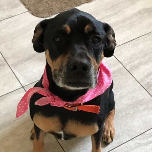 Visit LookBusy's profile on GETTR. View their posts, photos, videos, and connect with them on the social platform.