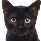 Visit andreaalta's profile on GETTR. View their posts, photos, videos, and connect with them on the social platform.