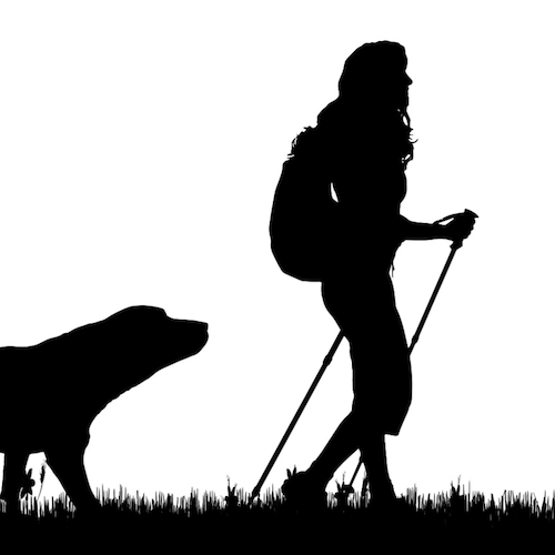 Visit atrump's profile on GETTR. View their posts, photos, videos, and connect with them on the social platform.