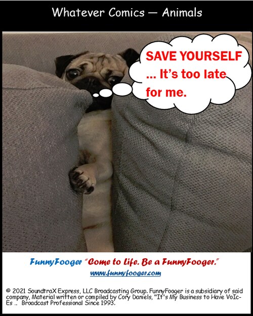 The "Whatever Comics"

Visit FunnyFooger, "Come to Life, Be a FunnyFooger" at www.funnyfooger.com @f...