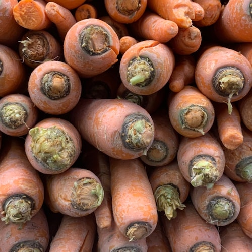 Self-made photographer, moonlighting as a consultant.