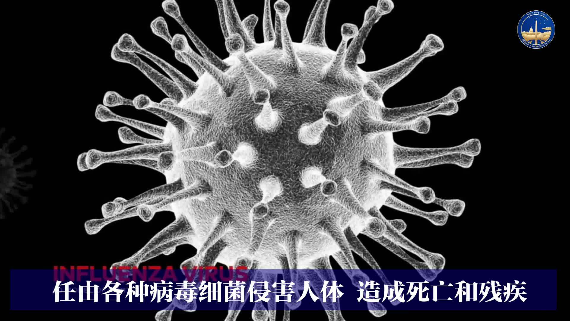#新中国联邦人 绝不接种 #疫苗 ，呼吁全世界人：请不要接种疫苗。
Take Down the CCP!