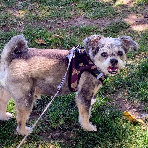 MAGA 🇺🇸 #trumpwon