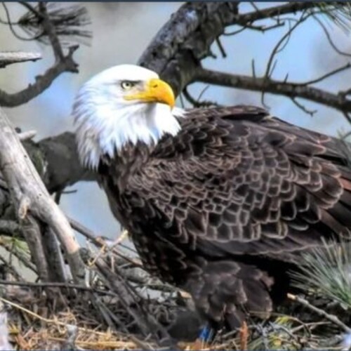 Common observer. Constitutional Conservative. Living in the Gospel of Grace.     2 Corinthians 5:16-21