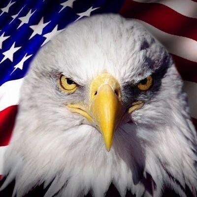 “It does not take a majority to prevail... but rather an irate, tireless minority, keen on setting brushfires of freedom...