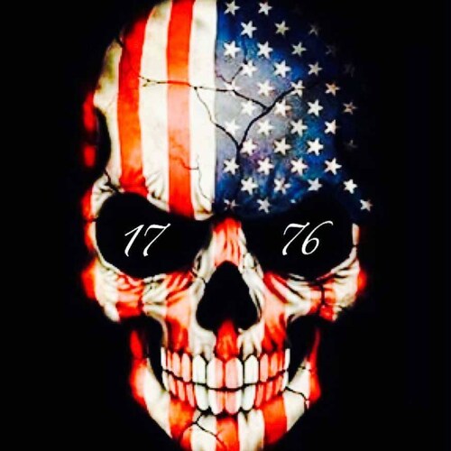 🇺🇲American Patriot🇺🇸