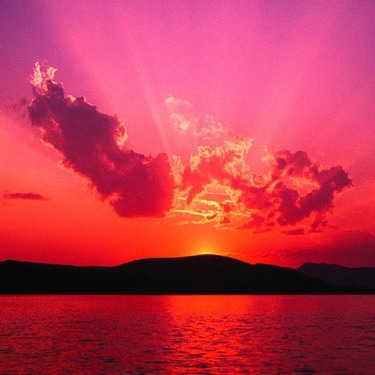 ** find me on GAB also @laura30024 **
#Christian #Conservative #ProLife #Constitution  #DrainTheSwamp #Patriot