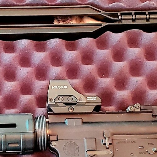 Republican supporter who listens to intelligent leadership