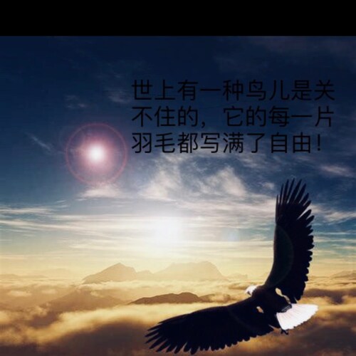 “做七哥认可的好人！”
