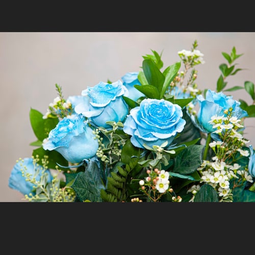 Truth seeker, Saved by Jesus.