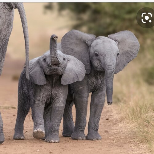 National cabinet of mothers with children at NAIS private schools. Follow the clues and the $ . NAIS is a CARTEL.