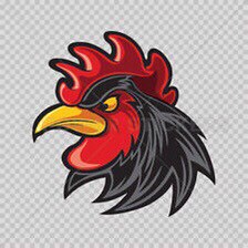 Christian, Conservative, NRA Life Member, Married to a Wonderful Woman.