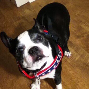 Call me Miss Pat.
Christian Patriot