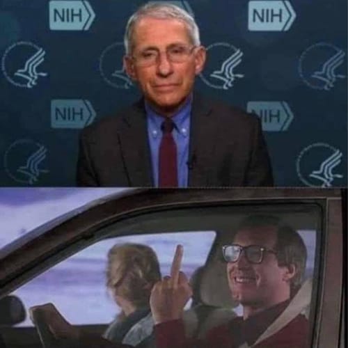 #gettrwar I’m #shadowbanned and can only repost and quote post other people’s content. I cannot make posts of my own or ...