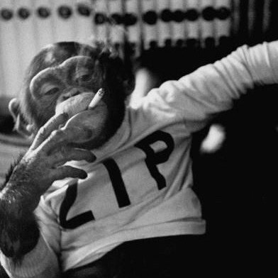 in war, truth is the first casualty