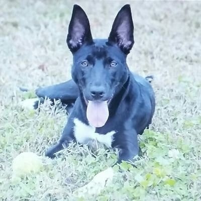 Proud daughter of an Army  Lt.Col 🇺🇲🇺🇲🇺🇲
Trump supporter 🍊
#MAGA #Trump2024
#backtheblue👮‍♂️
#supportourvets🇺🇲...