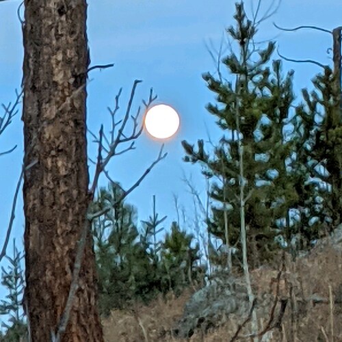 christian deciple,husband,father,American patriot and direct descendant of Robert bradeen,American revolutionary army an...