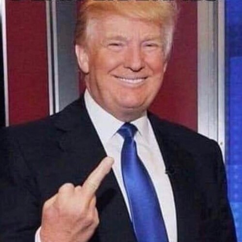 Conservative 🇺🇸 Back the Blue 🙏🏻💙
MAGA 🇺🇸  Respect our Military 🇺🇸