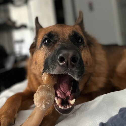 Center Right, Libertarian conservative-ish.