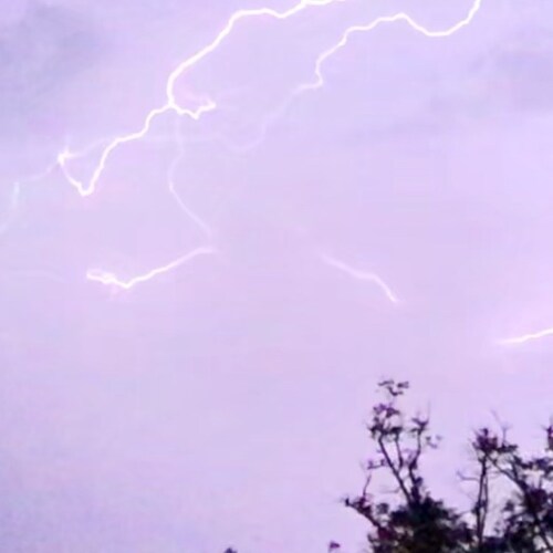 All Woman, Politics, Freedom, History, Art. Twitter sucks and will only get worse so thought I would try here!