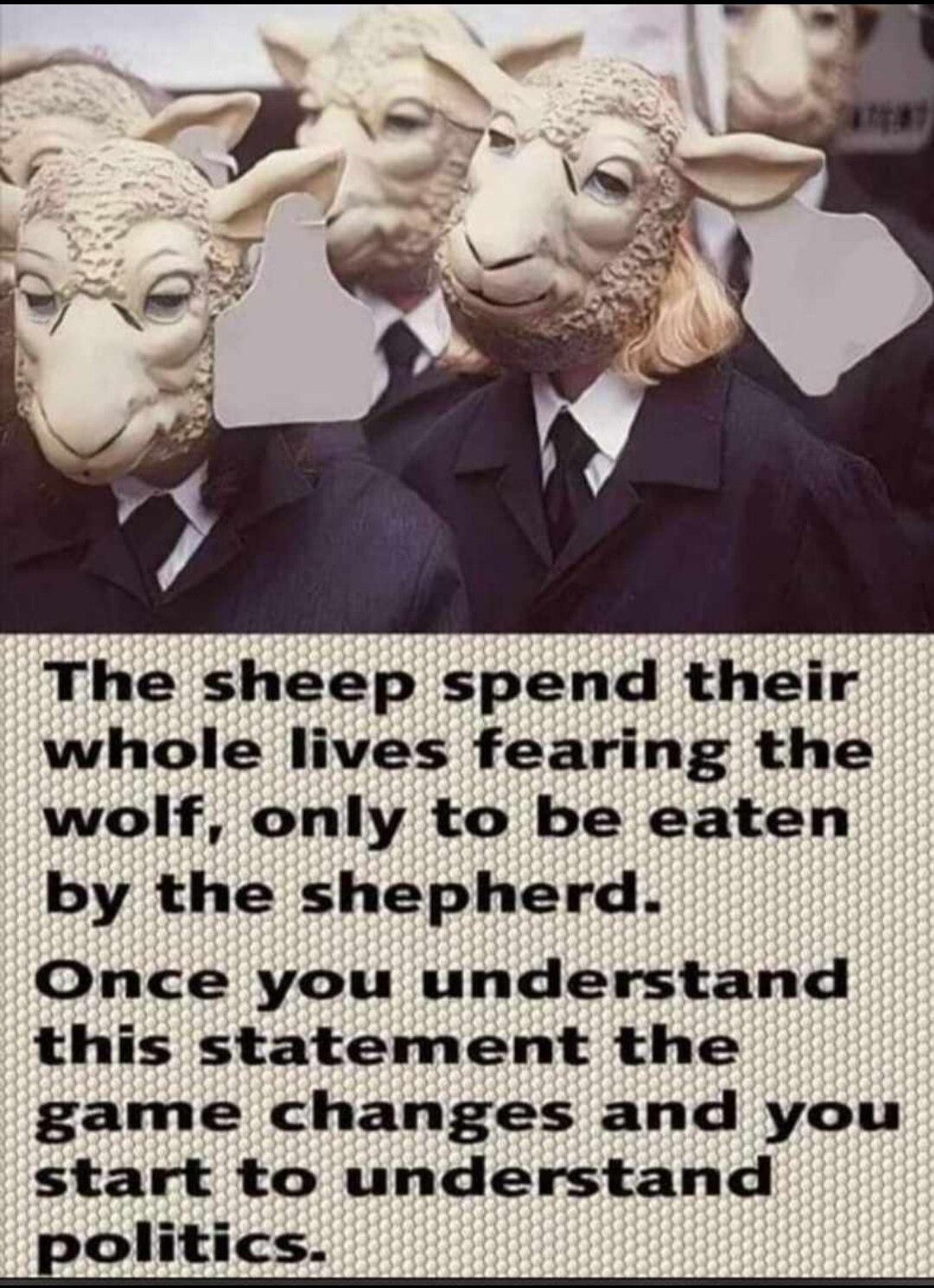 View RySonic's post on GETTR. Join the discussion, share your thoughts, and connect with the community.