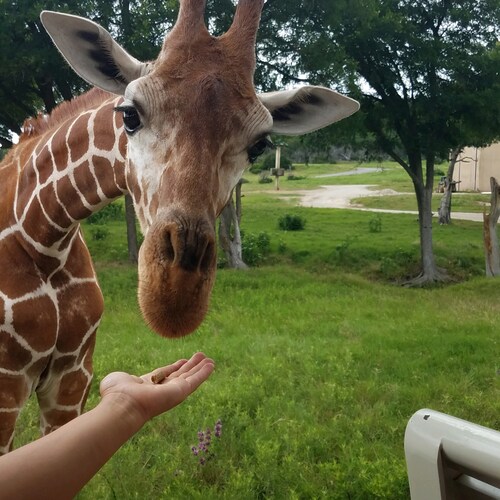 Visit treally's profile on GETTR. View their posts, photos, videos, and connect with them on the social platform.