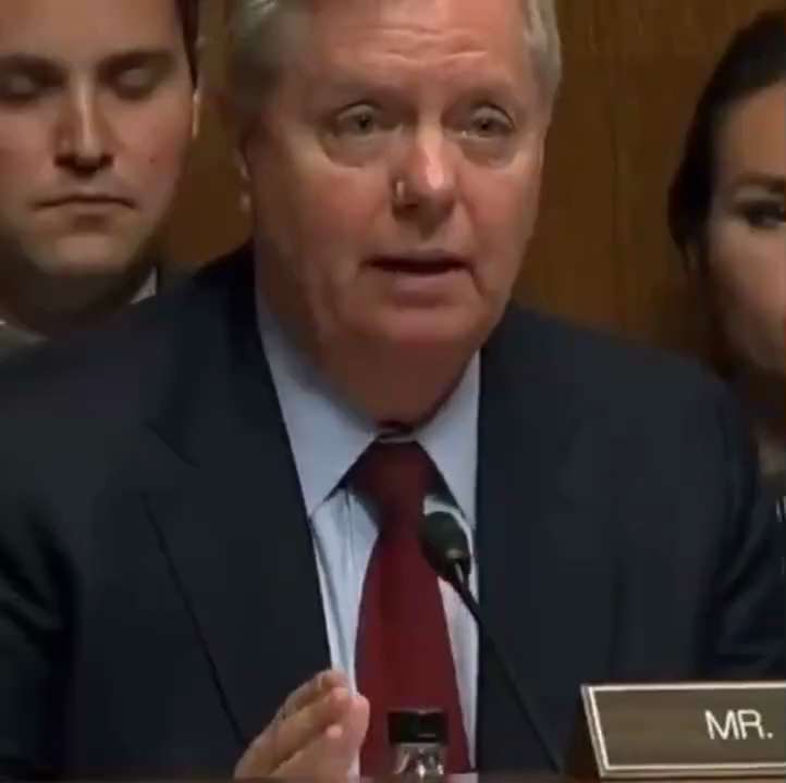 View senorbenicar  🍊's post on GETTR. Join the discussion, share your thoughts, and connect with the community.