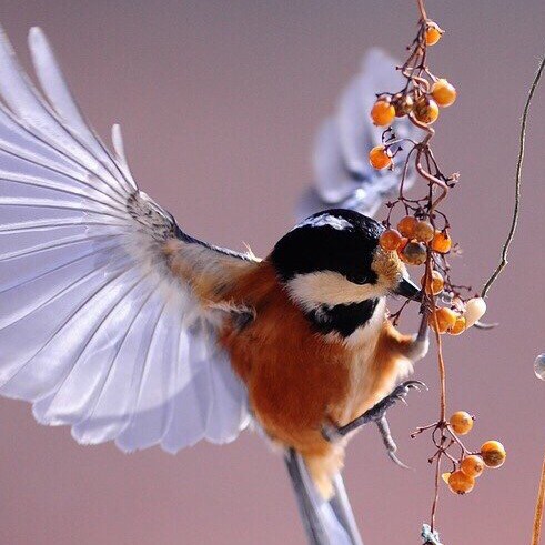 Born again Christian, following Jesus the Messiah
Loving Christ, Family and Friends❤
Last not least Freedom and Nature L...