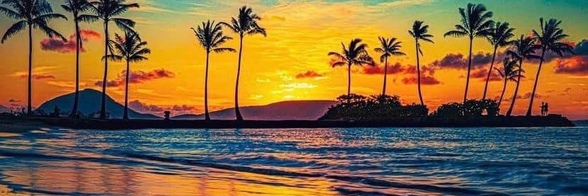 LoriF364🍊☀️🏖🇺🇸