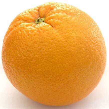 Visit Gormley's profile on GETTR. View their posts, photos, videos, and connect with them on the social platform.