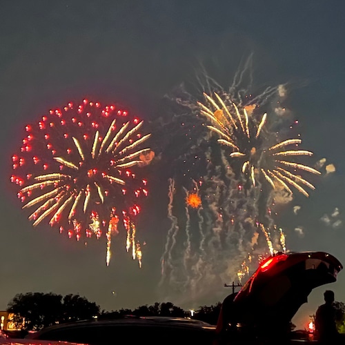 Retired wife and grandmother