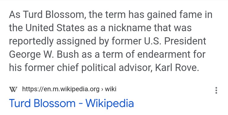 @SteveBannon 