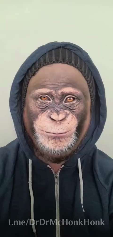 42. They Despise Our Kind