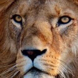 🇺🇸 AmerIca First

“The Legacy Media is The Cancer”