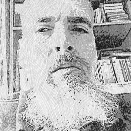 Homebound pilgrim, gregarious misanthrope, political skeptic w/ a wandering mind. Exploring the world 280 characters @ a...