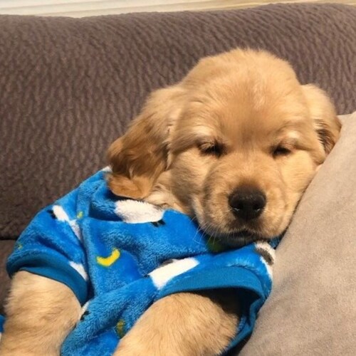 MAGA! JUST A WIFE, MOM, GRANDMOM, SISTER AND FRIEND WHO WANTS A STRONG PROUD AMERICA BACK!